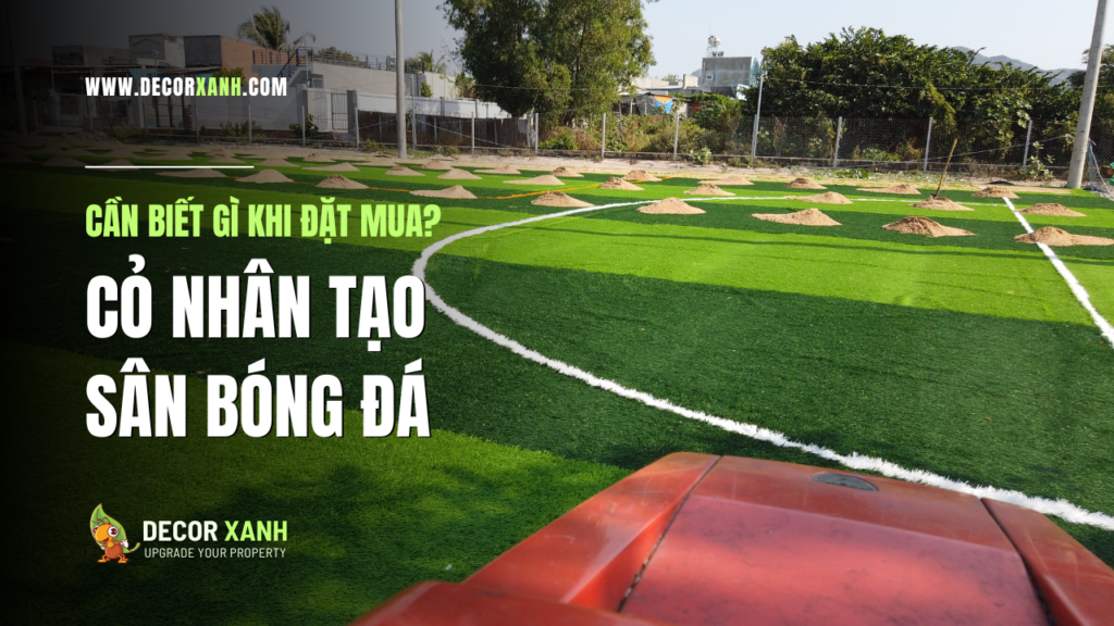 Cách chọn cỏ nhân tạo sân bóng